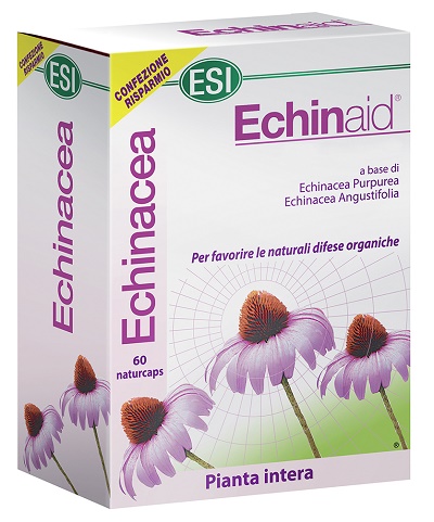 Echinaid 60 capsule