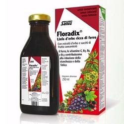 Floradix 250Ml