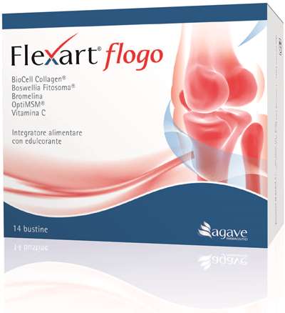 Flexart Flogo 14Bust